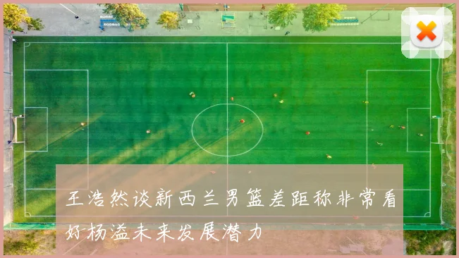 王浩然谈新西兰男篮差距称非常看好杨溢未来发展潜力
